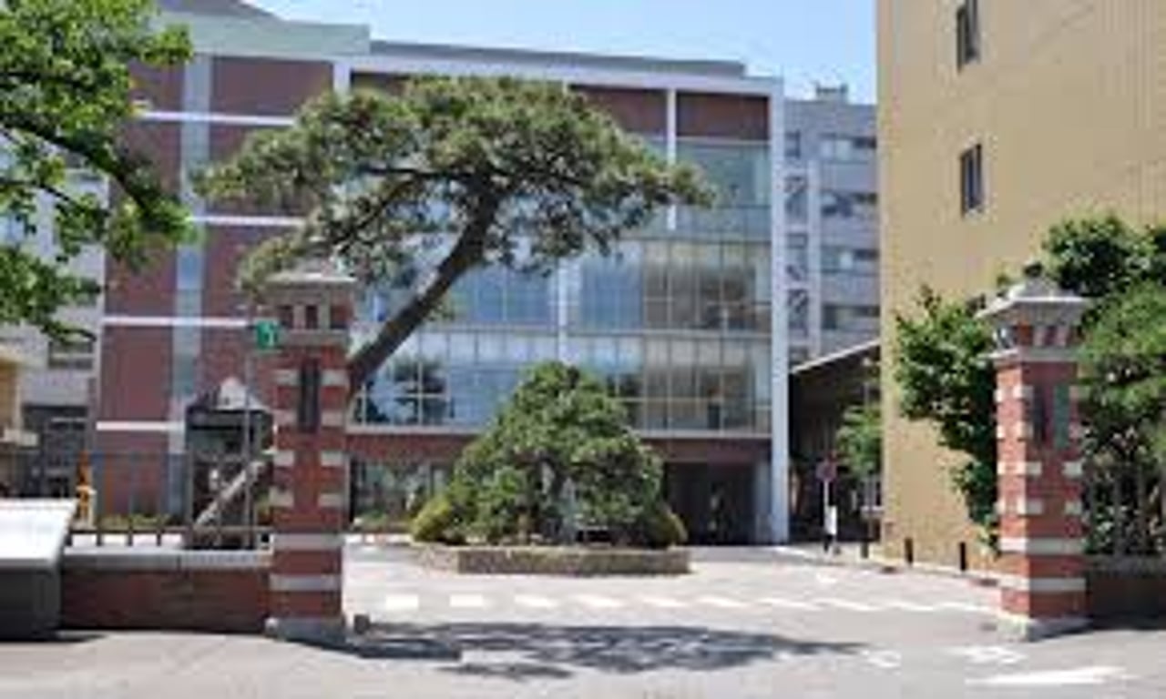 新潟 大学 医学部 医学 科